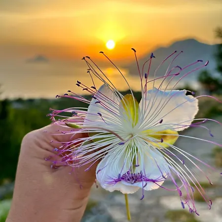 Casa Zoe * Città di Lipari